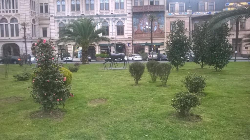 Oldbatumi Apartment エクステリア 写真